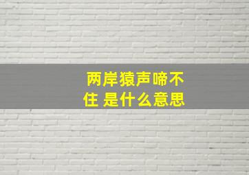 两岸猿声啼不住 是什么意思